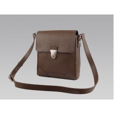 Louis Vuitton Taiga Piele Luka Grizzli